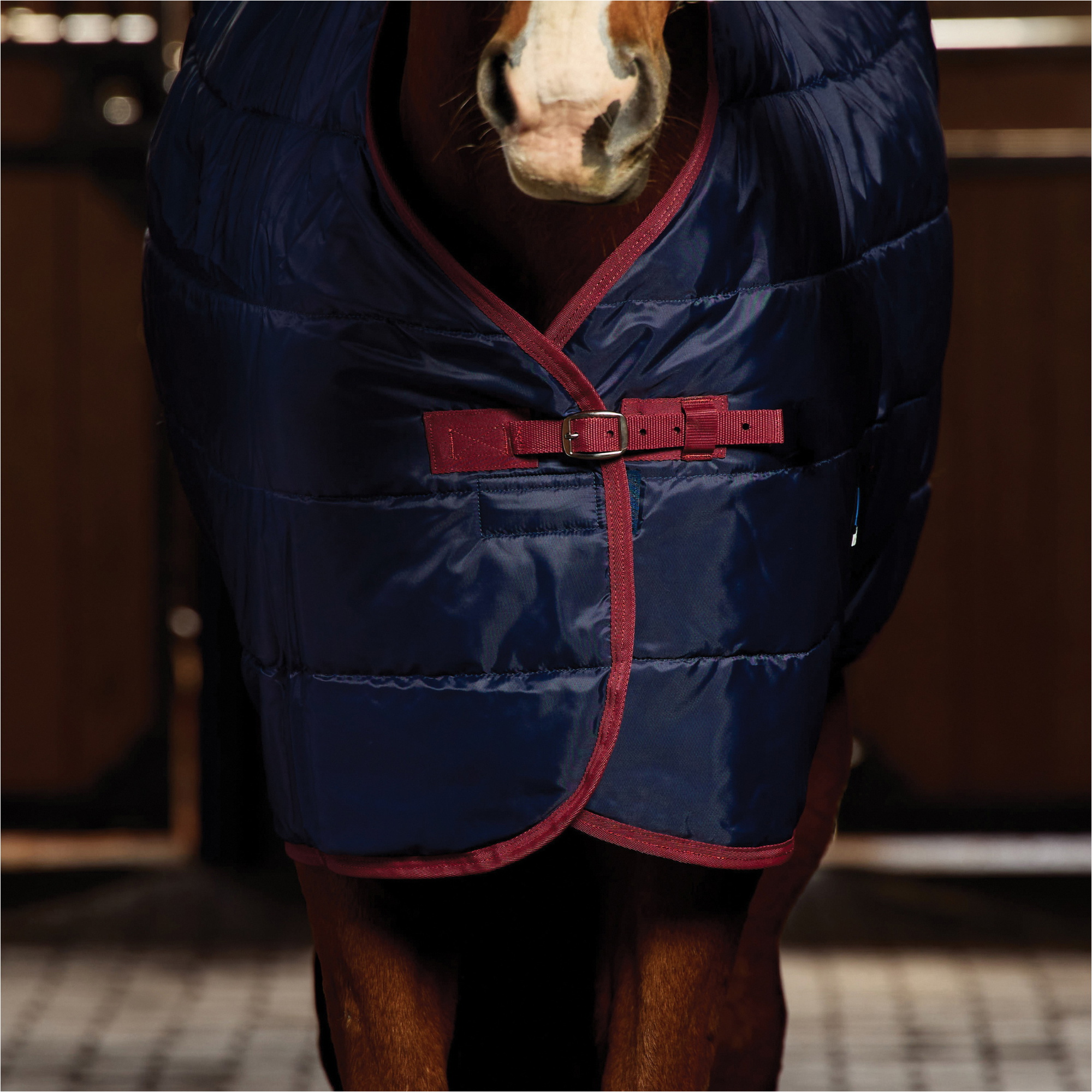 2025 WeatherBeeta Comfitec 210D Channel Quilt Stable Standard Neck 102904 - Navy
